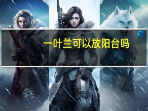 一叶兰可以放阳台吗