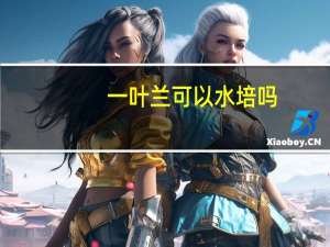 一叶兰可以水培吗