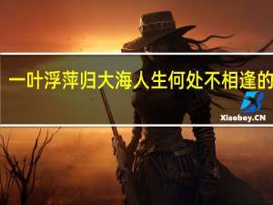 一叶浮萍归大海人生何处不相逢的意思（一叶浮萍归大海 人生何处不相逢是什么意思）