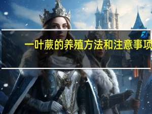 一叶蕨的养殖方法和注意事项