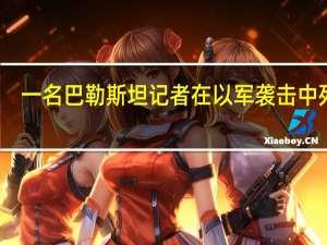 一名巴勒斯坦记者在以军袭击中死亡