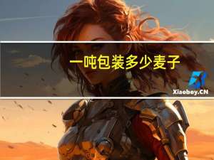 一吨包装多少麦子