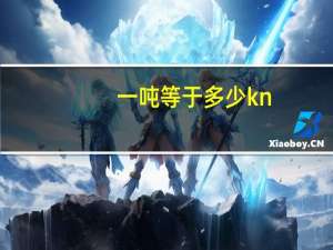 一吨等于多少kn