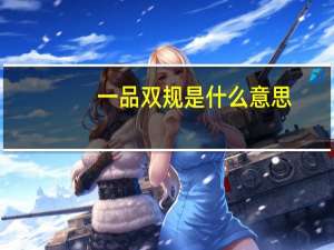 一品双规是什么意思（一品双规）