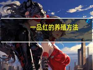 一品红的养殖方法