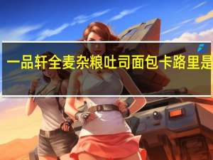 一品轩 全麦杂粮吐司面包卡路里是多少