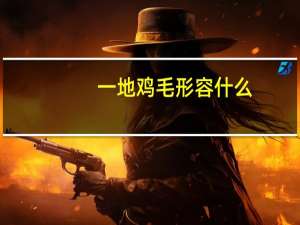 一地鸡毛形容什么
