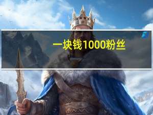 一块钱1000粉丝 - 快手刷点亮