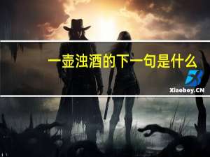 一壶浊酒的下一句是什么