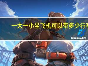 一大一小坐飞机可以带多少行李（坐飞机可以带多少行李）