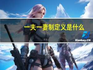 一夫一妻制定义是什么