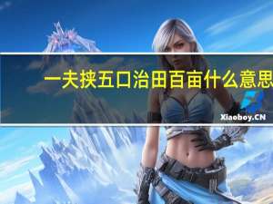 一夫挟五口治田百亩什么意思