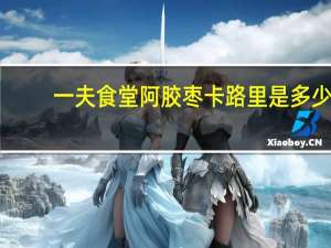 一夫食堂 阿胶枣卡路里是多少