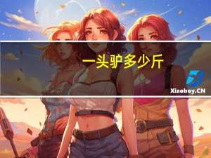 一头驴多少斤