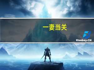 一妻当关（关于一妻当关的介绍）