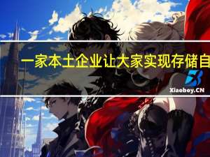 一家本土企业让大家实现存储自由