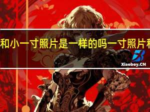 一寸照片和小一寸照片是一样的吗 一寸照片和小一寸的区别