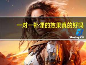 一对一补课的效果真的好吗
