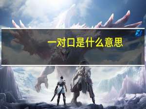 一对口是什么意思