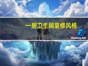 一居卫生间装修风格（一谜简介）
