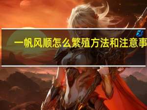 一帆风顺怎么繁殖方法和注意事项