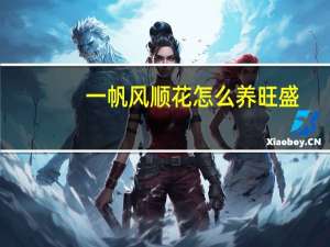 一帆风顺花怎么养旺盛