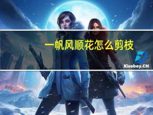 一帆风顺花怎么剪枝