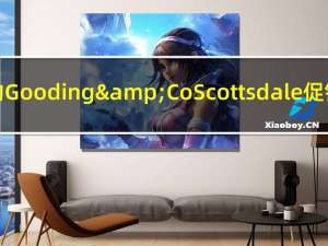 一年一度的Gooding&CoScottsdale促销活动上线