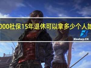 一年交8000社保15年退休可以拿多少　个人如何提高退休金