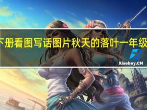 一年级下册看图写话图片秋天的落叶 一年级下册看图写话