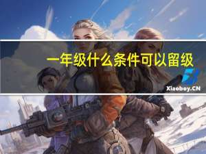 一年级什么条件可以留级