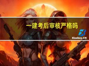 一建考后审核严格吗