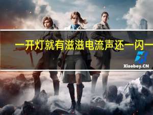 一开灯就有滋滋电流声还一闪一闪
