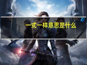 一式一样意思是什么