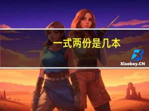 一式两份是几本