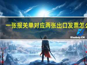 一张报关单对应两张出口发票怎么办