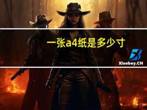 一张a4纸是多少寸