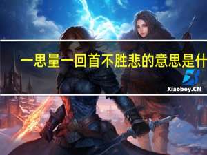 一思量一回首不胜悲的意思是什么