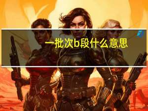 一批次b段什么意思