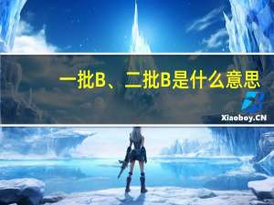 一批B、二批B是什么意思