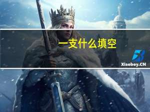 一支什么填空