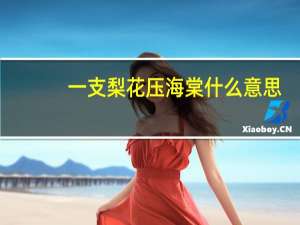 一支梨花压海棠什么意思