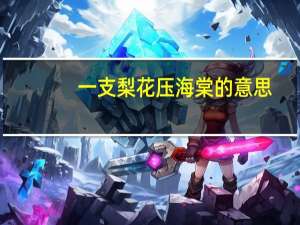 一支梨花压海棠的意思