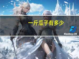 一斤瓜子有多少