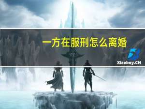 一方在服刑怎么离婚