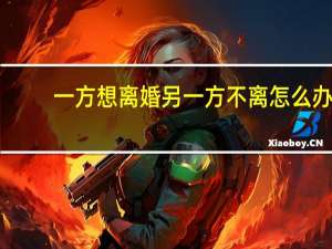 一方想离婚另一方不离怎么办