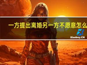 一方提出离婚另一方不愿意怎么办