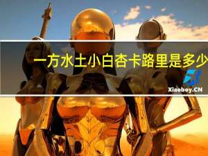 一方水土 小白杏卡路里是多少