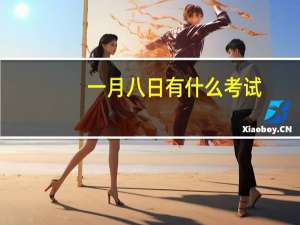 一月八日有什么考试