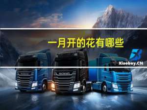 一月开的花有哪些